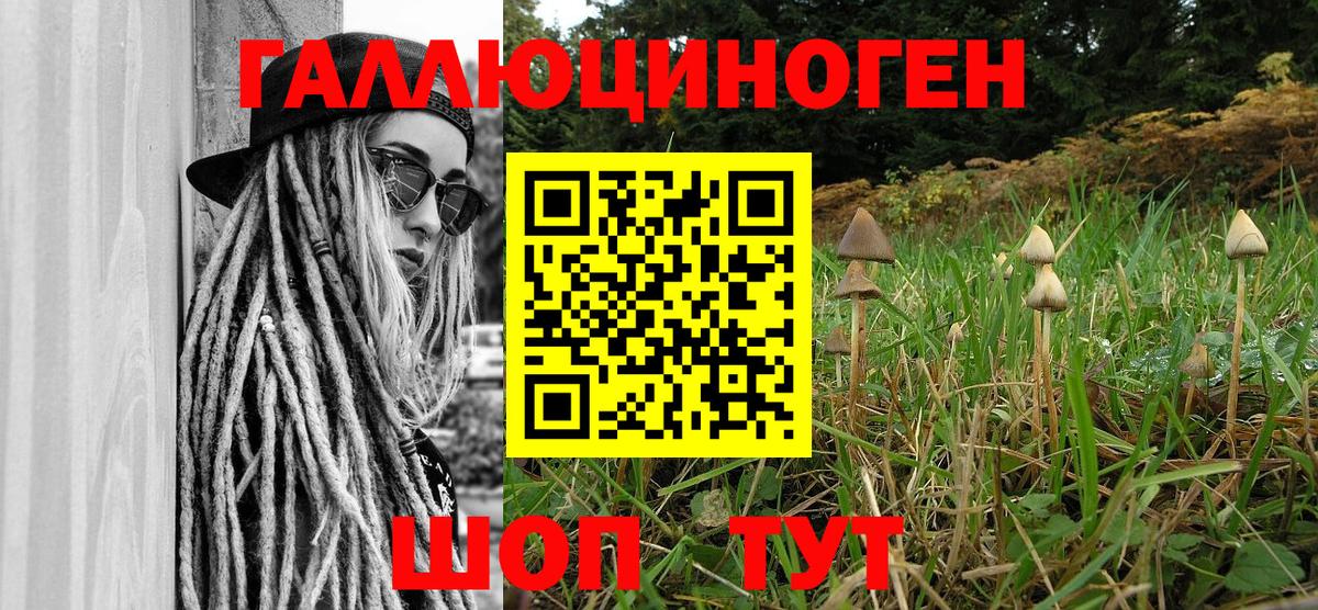 Ирбит  хочу наркоту  Вход с VPN  Галлюциногенные грибы Psilocybe  Галлюциногенные грибы GOLDEN TEACHER 